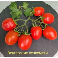 Венгерские Кечкемети