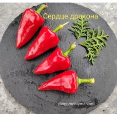 Сердце Дракона