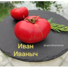 Иван Иваныч