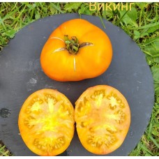 Викинг