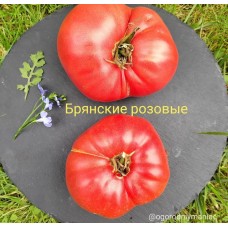 Брянские Розовые