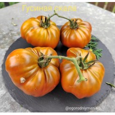 Гусиная Скала