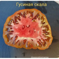 Гусиная Скала
