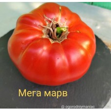Мега Марв