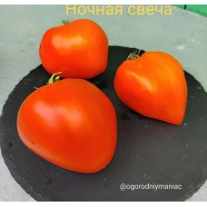 Ночная Свеча