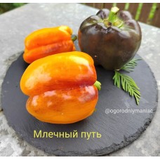 Млечный Путь