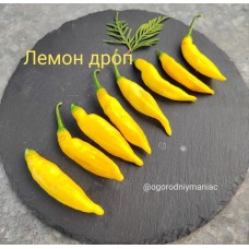 Лемон Дроп