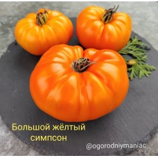 Большой Желтый Симпсон