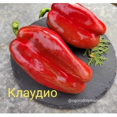 Клаудио