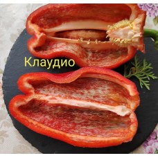 Клаудио