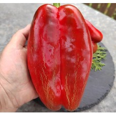 Клаудио