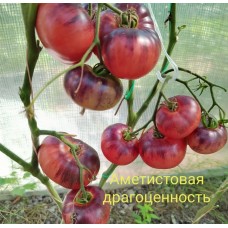 Аметистовая Драгоценность