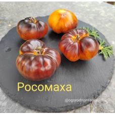 Росомаха