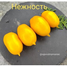Нежность