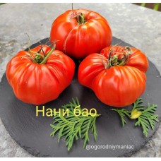 Нани Бао