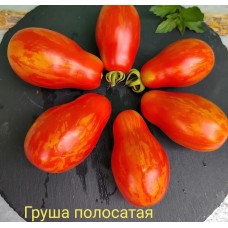 Груша Полосатая
