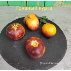 Грязный Курта