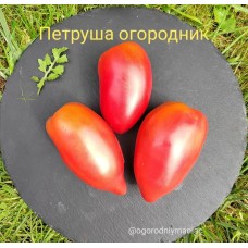 Петруша Огородник