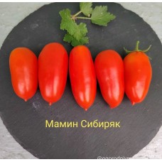 Мамин Сибиряк