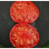 Гигант Подмосковья