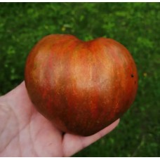 Сердце Марши